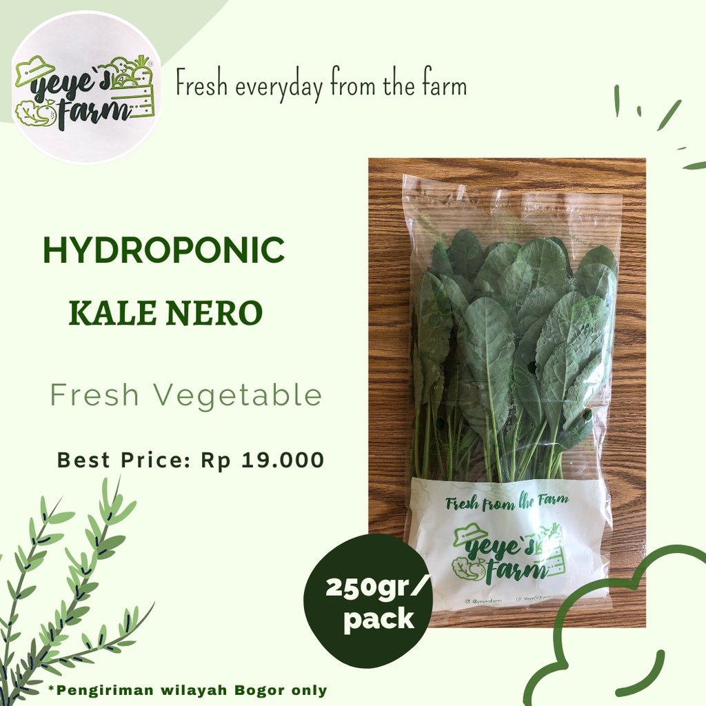 

YEYE'S FARM - KALE NERO HIDROPONIK 250GR