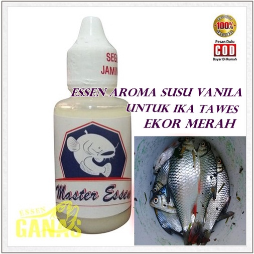 Essen mancing ikan tawes  WANGI SUSU VANILA MELATI