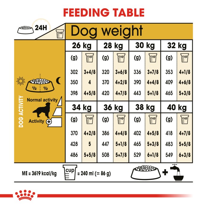 Royal Canin Golden Retriever Adult Makanan Anjing Dewasa Dry 12kg rc