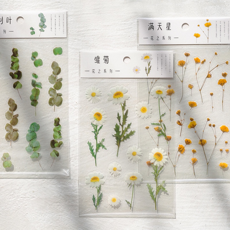 6 Types vintage transparent PET sticker pack gypsophila flowers retro plants flowers special-shaped hand account journal album decoration DIY material stickers-Won