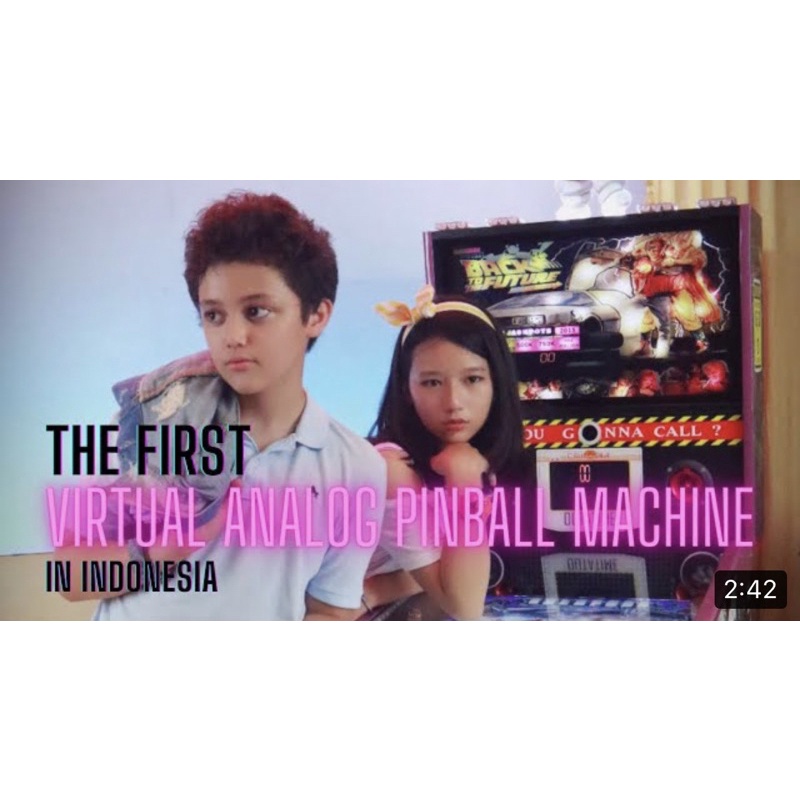 Real virtual analog Pinball Machine