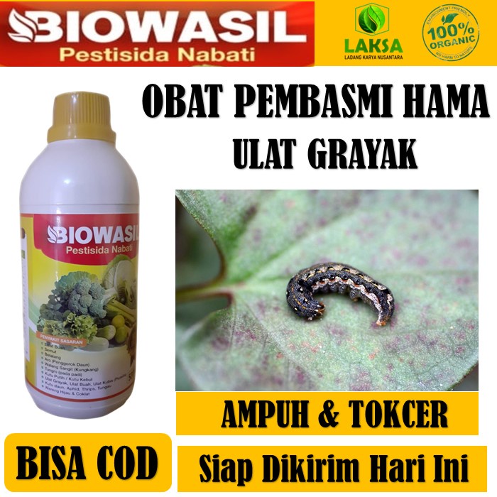 Insektisida BIOWASIL 500 ML PESTISIDA NABATI PEMBASMI HAMA ULAT GRAYAK JAGUNG, CABE, LABU SIAM, MANG