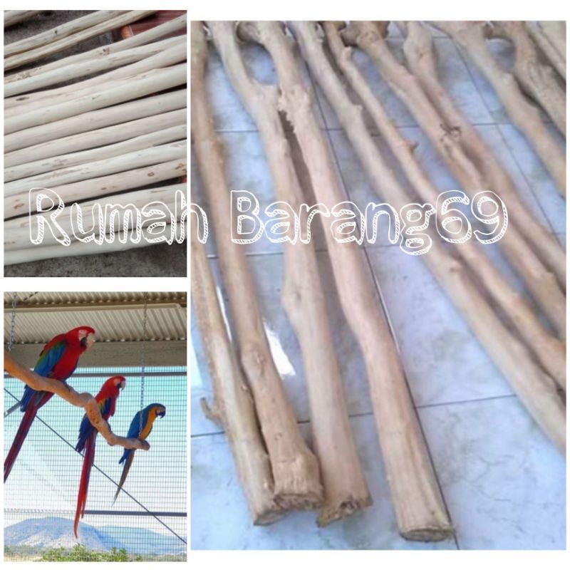 Kayu kopi lurus panjang 75cm