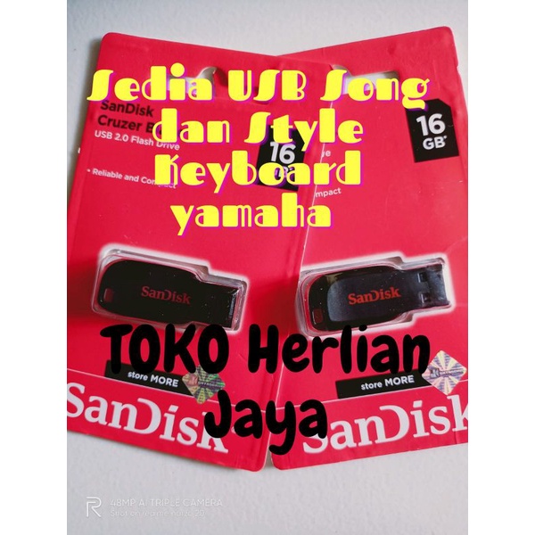 USB Lagu Song dan Style Yamaha PSR EW 425 PSR EW 410