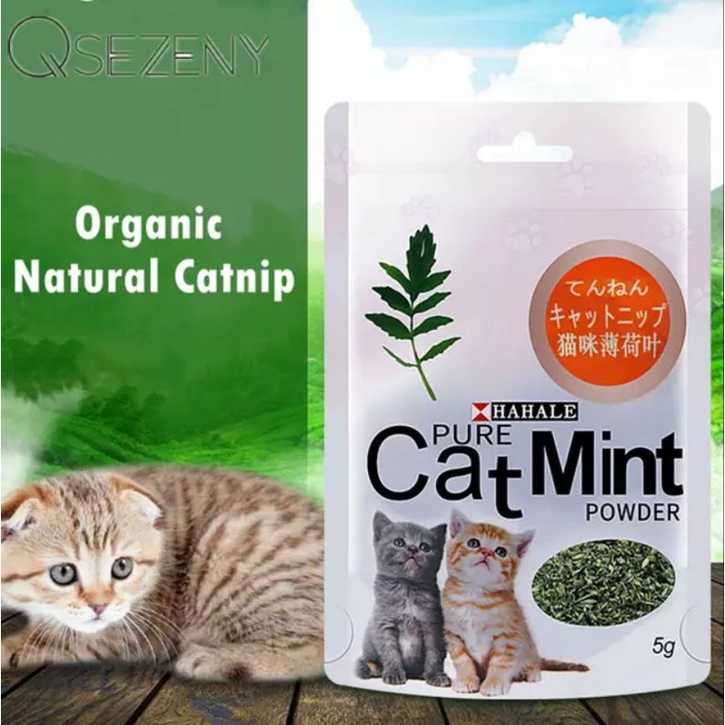 Catmint Powder | Catnip Powder Snack Cemilan Kucing Cat Kitten