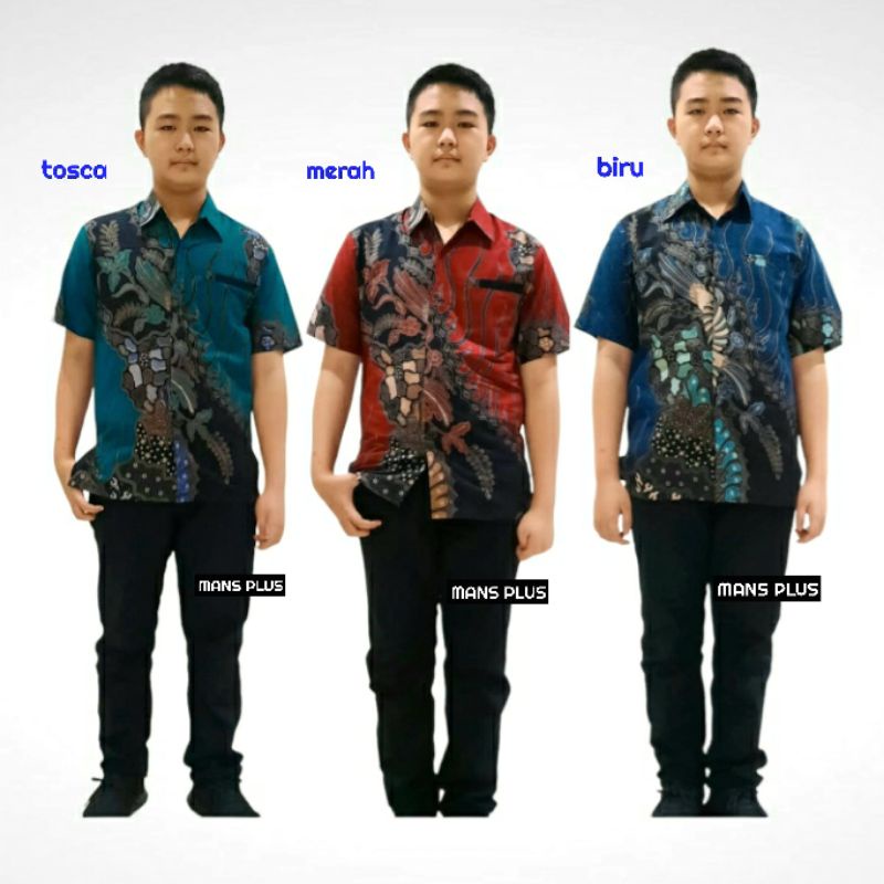 Kemeja Batik Anak Laki Laki Perempuan 2 - 12tahun Seragam Hem Baju Atasan Batik Remaja Balita KRS