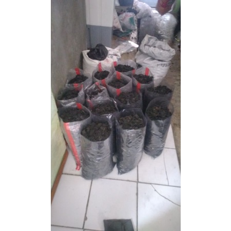 arang batok kelapa 3kg 50ribu