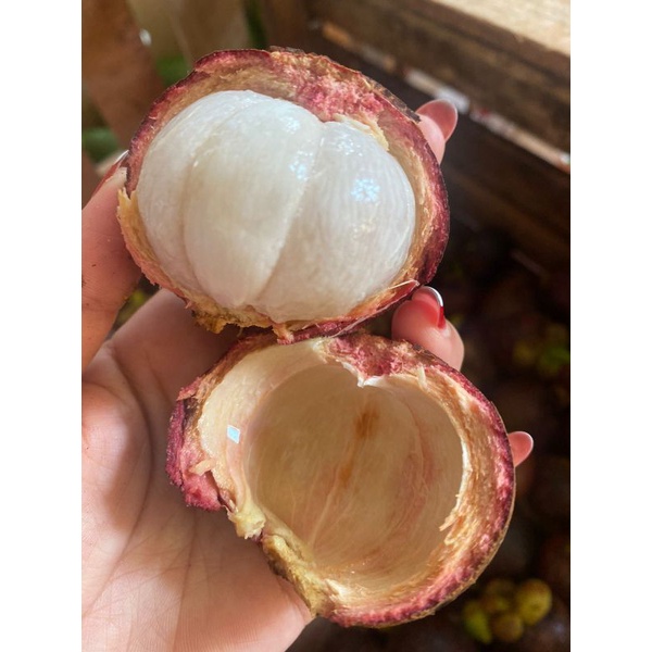 FRESH4YOU_BUAH MANGGIS PADANG MANGGIS MANIS MANGGIS JOS MANGGIS ENAK