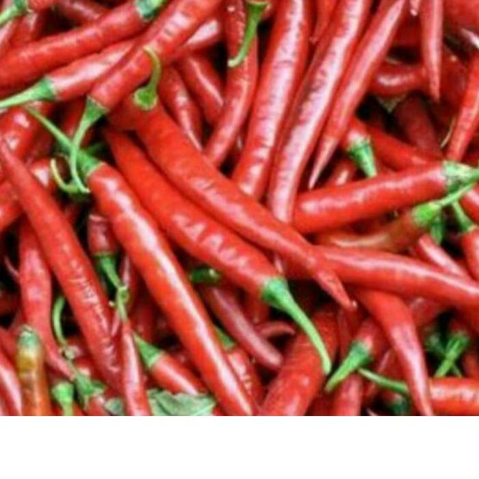 

COD Cabe Merah Besar/TW !!!