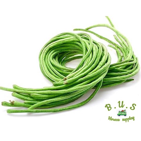 

Kacang Panjang 1 Kg B.U.S