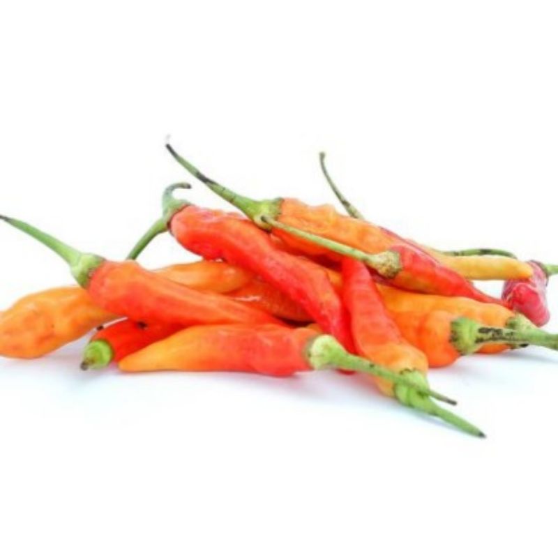 

Cabai Rawit Merah 500gr Langsung dari Petani