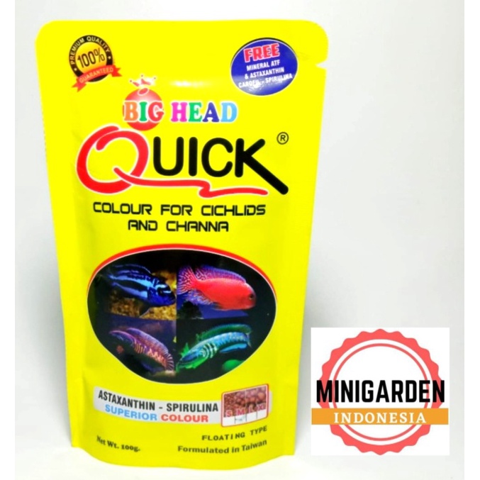 BIG HEAD CHANNA &amp; CICHLID QUICK 100GR OKIKO PAKAN PELET PELLET IKAN