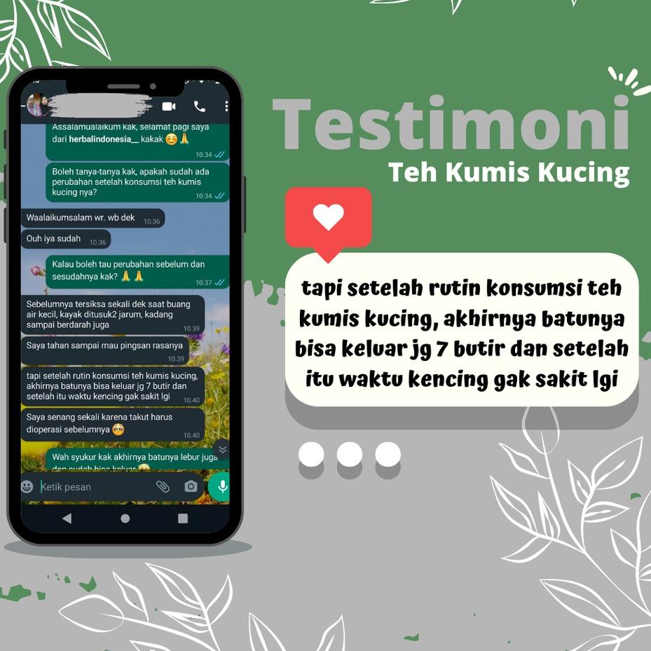 

Lagi Trend ⋆ OBAT BATU GINJAL DAN INFEKSI SALURAN KEMIH NO 1 AMPUH !!! Teh Kumis Kucing Obat Batu Ginjal Infeksi Saluran Kemih dan Detoks Racun 100% Herbal Alami+