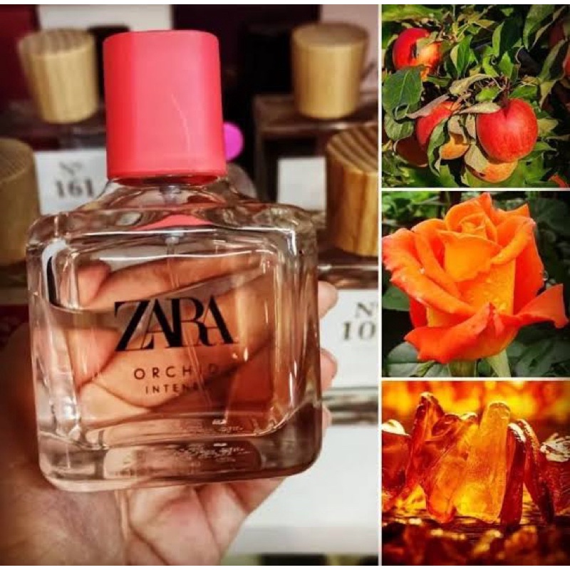 PARFUM ORIGINAL EROPA Zara Orchid Intense 100ml PARFUME WANITA / Parfum wanita