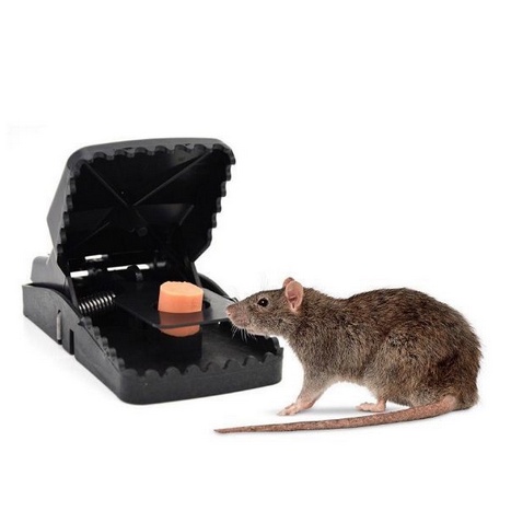 Jebakan Tikus Otomatis Perangkap Tikus Mouse Trap