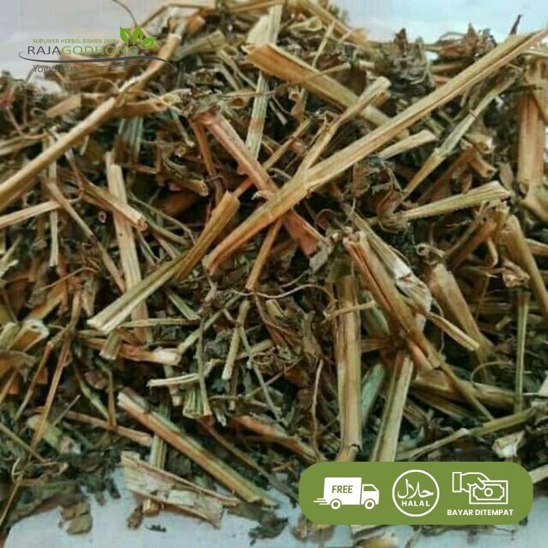

ciplukan kering berkualitas 500 gram dan 1 kg