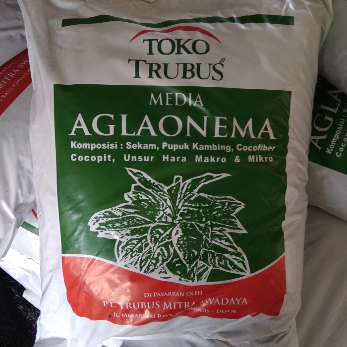 Media Tanam Media Tanam Aglonema "Trubus" 5Kg Siap Pakai
