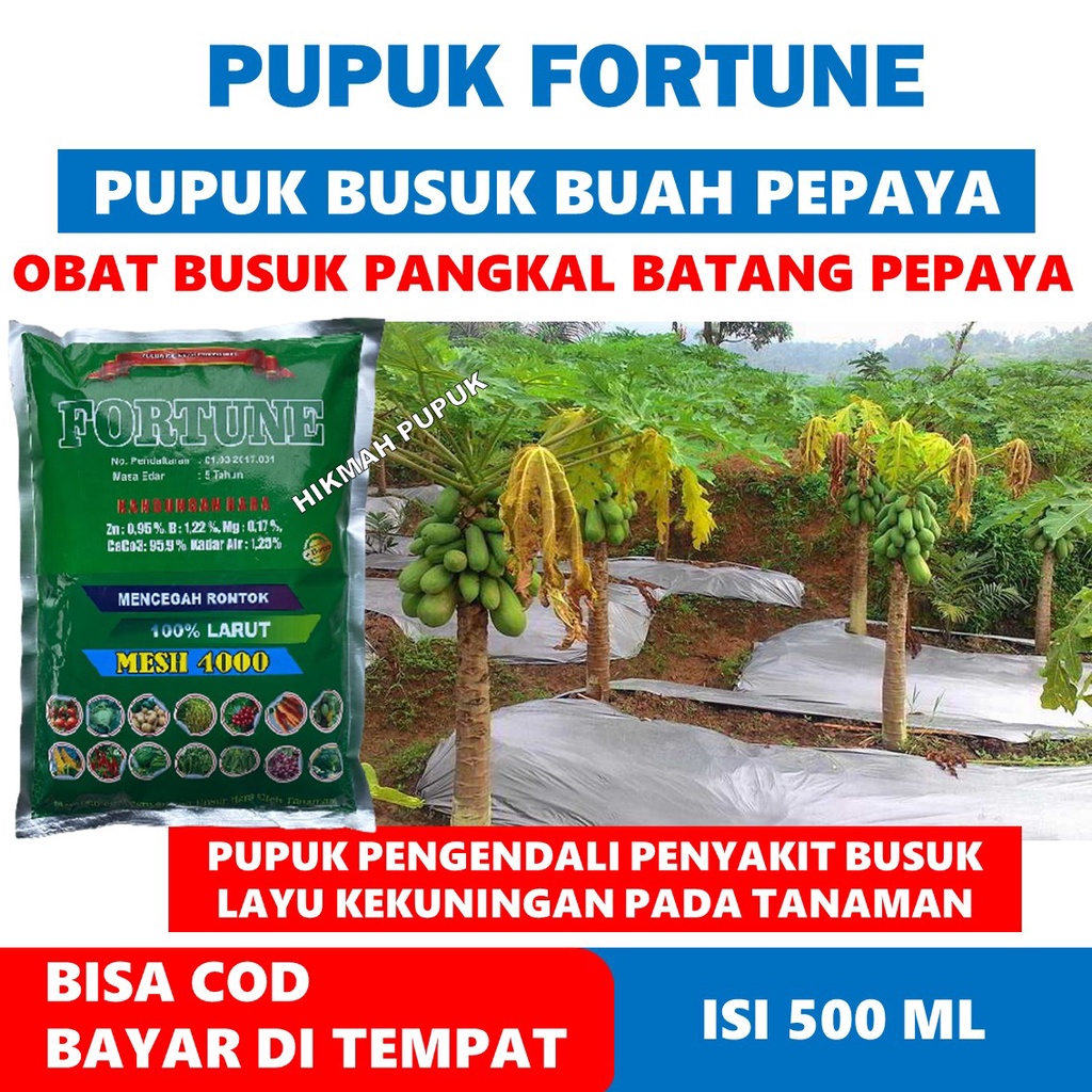 Jual Fortune Isi Kg Mengatasi Hama Busuk Tanaman Pepaya Obat Hama