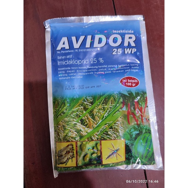 AVIDOR 25WP 100GR
