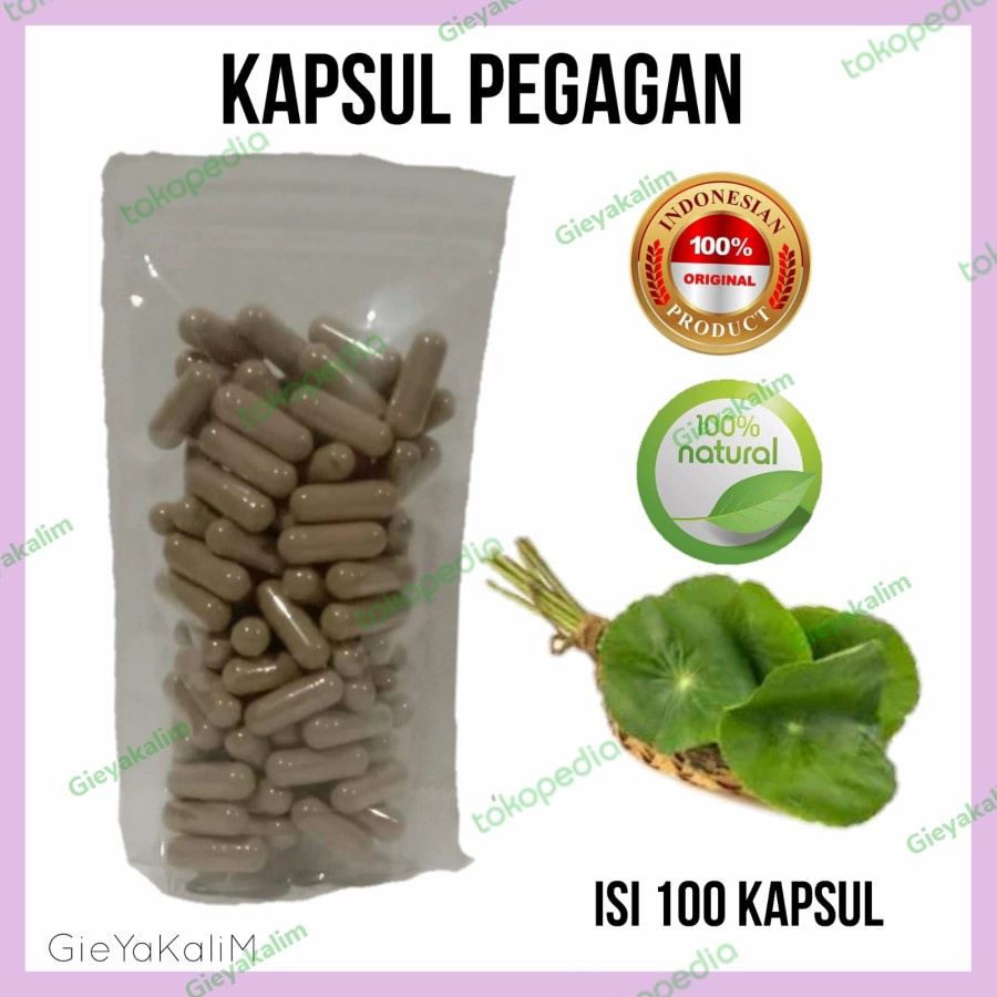 PEGAGAN / ANTANAN Kapsul Herbal Kemasan Hemat - isi 100