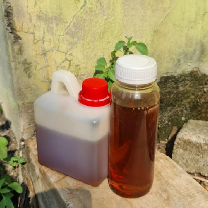 

TREND MADU CURAH MULTINEKTAR 500G STOK TERBATAS