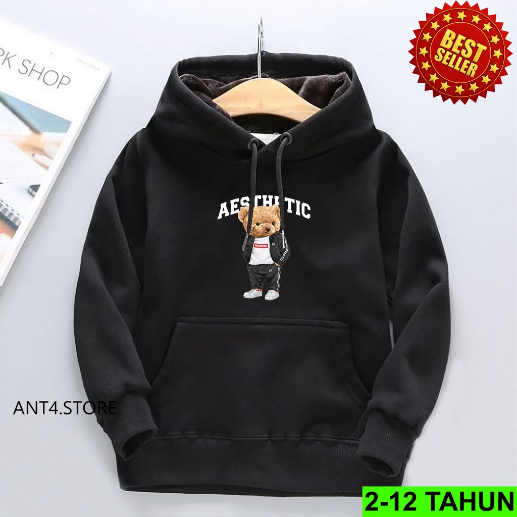 Hoodie AESTETIC Anak Laki Laki Perempuan / Jaket Anak BEST SELLER  Anak Usia 2 - 12 Tahun / Sweater TERBARU Anak Cewek Cowok  Switer Distro Bisa COD