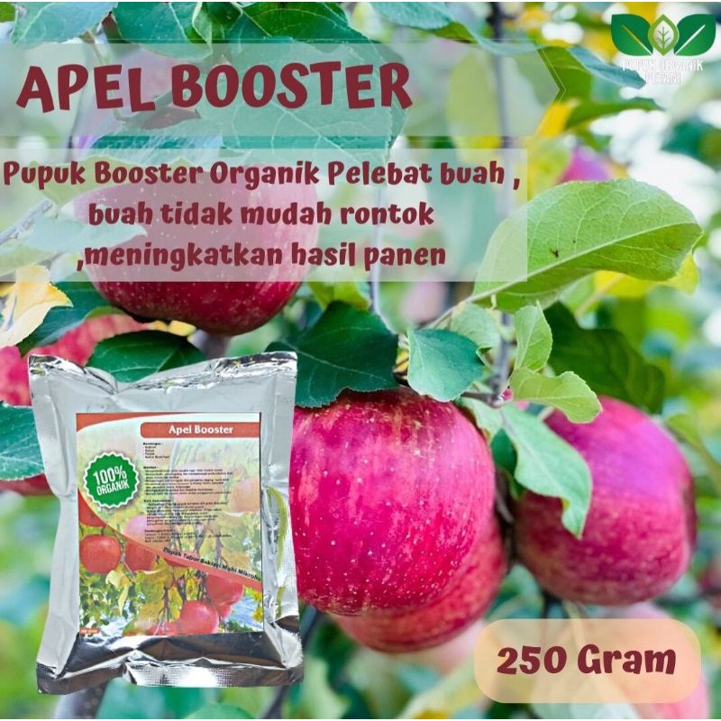 Pupuk organik booster pelebat apel kemasan 250gram nutrisi terbaik apel cepat berbuah lebat