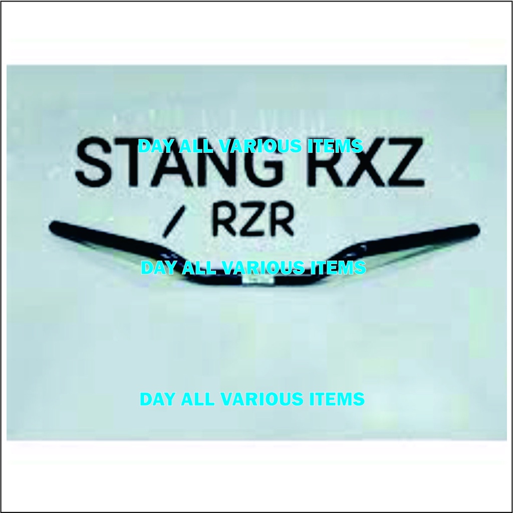 STANG STIR RZR