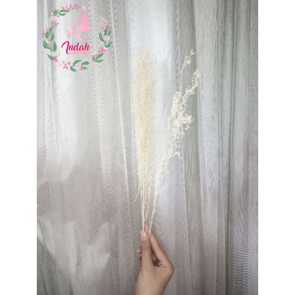 Grass Dekorasi Rustik Tanaman Daun Kering bunny tail lagurus  Palm Gandum Ilalang