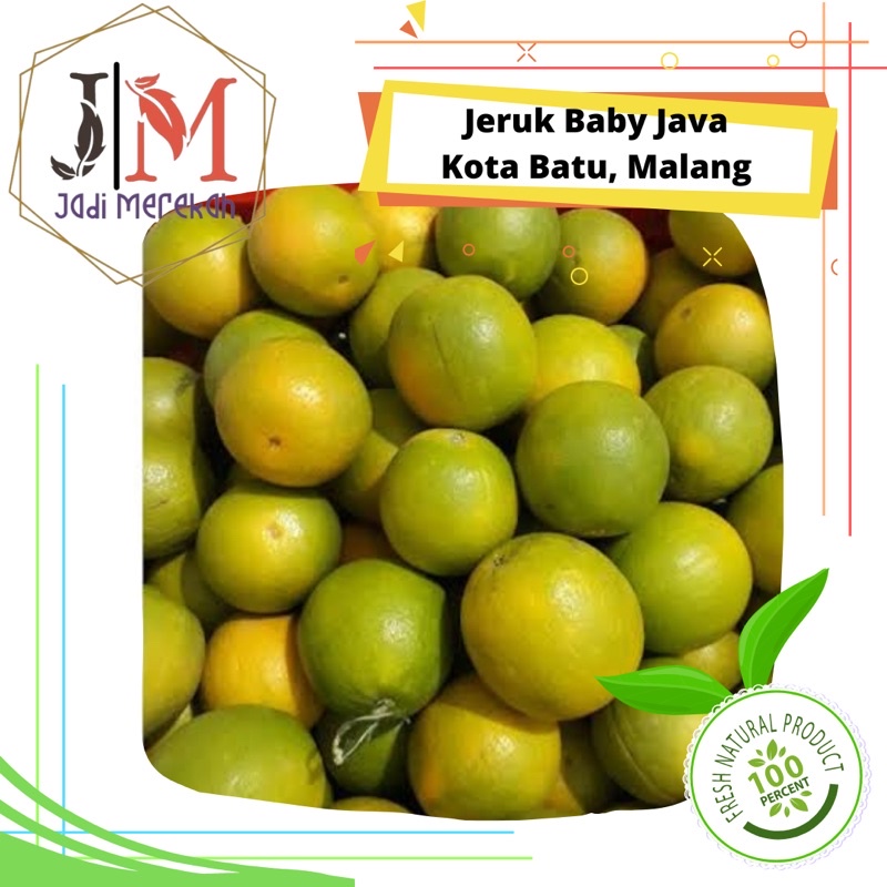 

[JM SoFresh] - Buah Segar Jeruk baby Java Kota Batu, Malang Manis 1kg