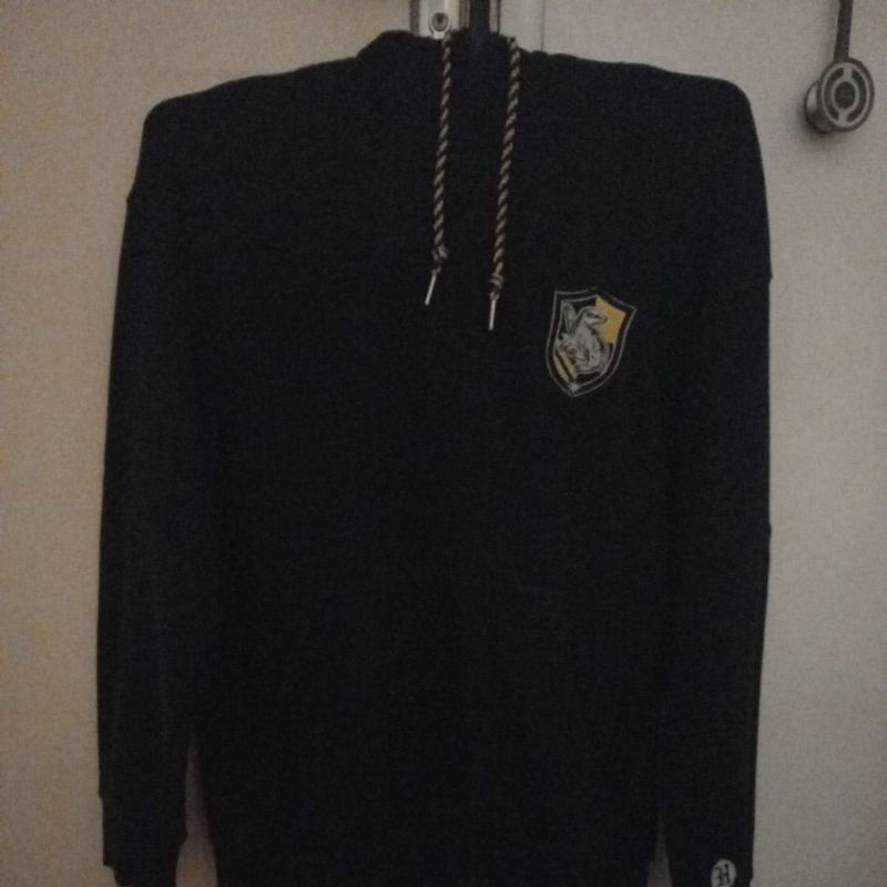 Preloved hoodie Graphic Tee SPAO X HARRY POTTER HUFFLEPUFF