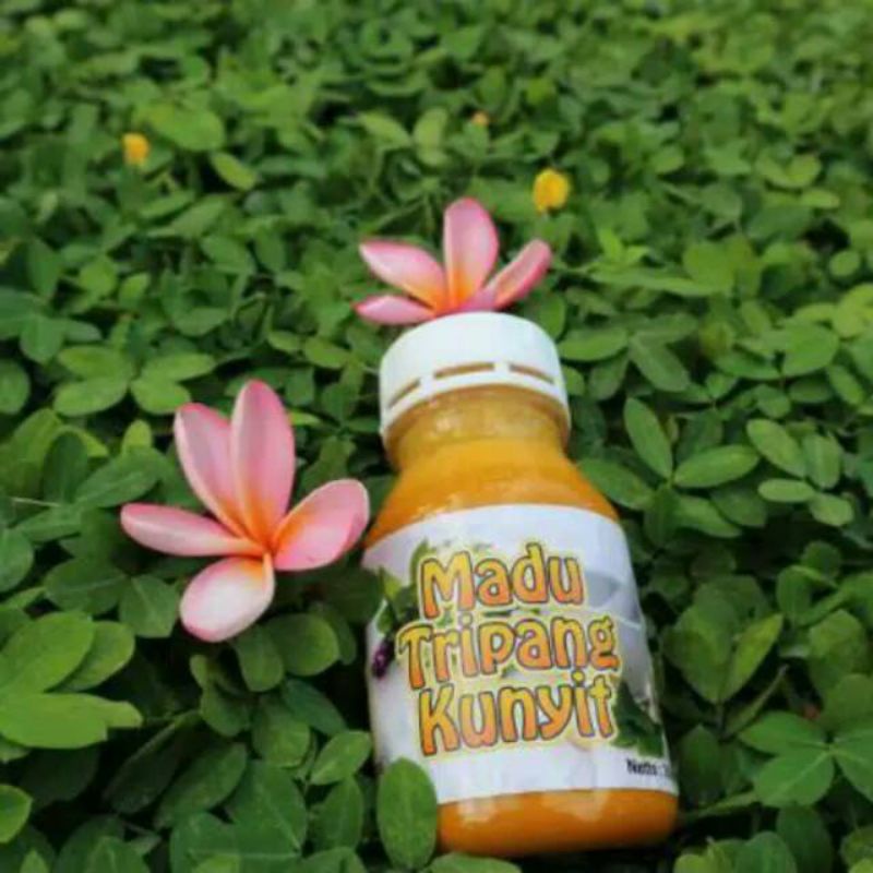 [Bisa COD] Madu Tripang Kunyit Original Herbal Alami Ampuh Untuk Asam Lambung Kronis / Maag / Gerd / ORI