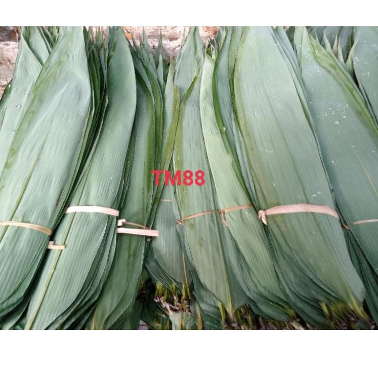 

CS8p3Od--DAUN BAMBU/DAUN BACANG/DAUN BAKCANG