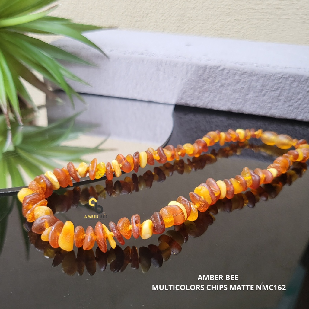 Kalung Amber Baltic Pereda Nyeri Tumbuh Gigi Anak Multicolor Chips By Amber Bee NMC162