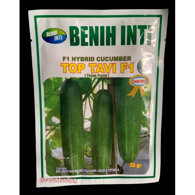 Benih Timun Top Tavi 20gr Benih inti
