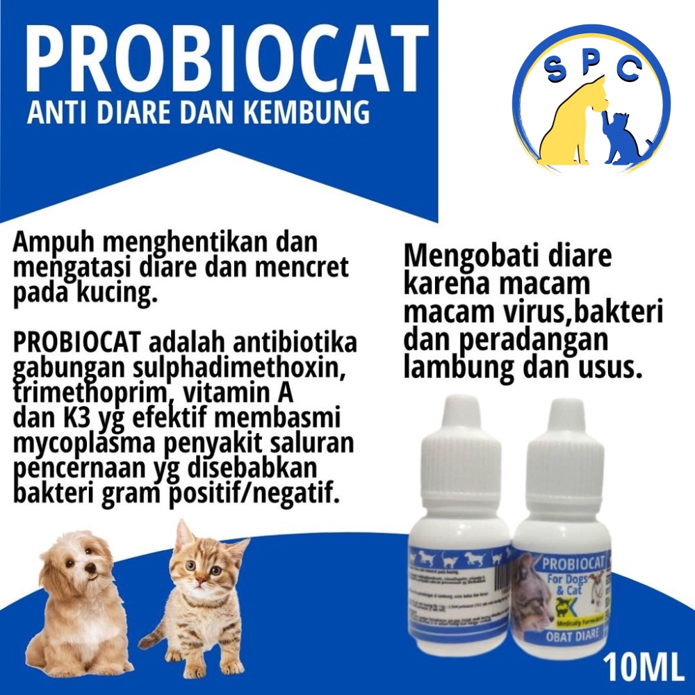 Obat Kucing Mencret Diare Gangguan Pencernaan Probiotik Kucing Probiocat Obat Diare Vitamin Pencernaan Anti Mencret