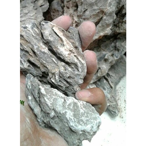 Batu Aquascape - Seiryu Stone
