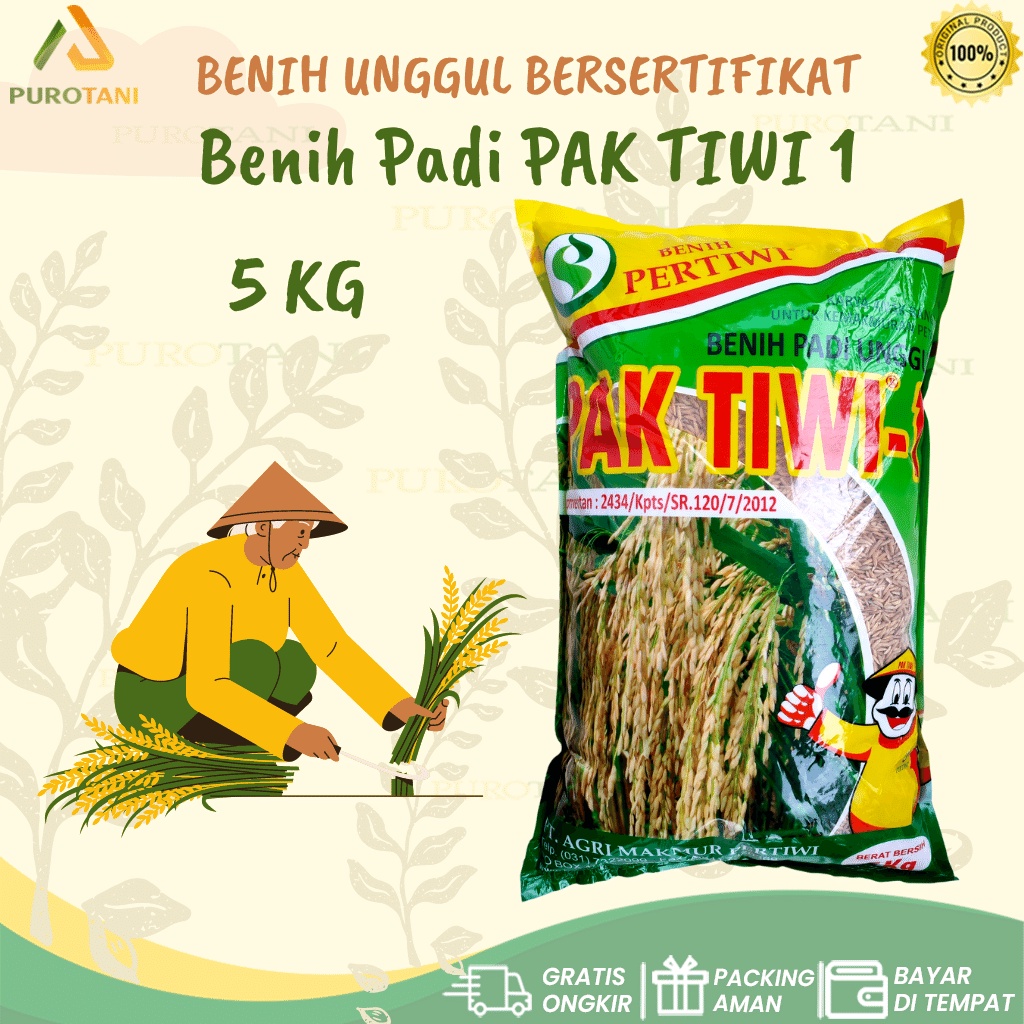 Benih Padi PAK TIWI 1 5 KG Benih Pertiwi