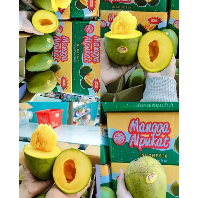 

PROMO MANGGA ALPUKAT HARGA PER 1KG YA KK