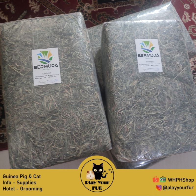 Hay Bermuda Dactylon