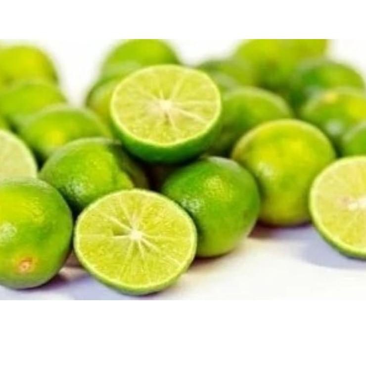 Terdepan--Bibit Jeruk Nipis Tanaman Buah Jeruk Nipis Hasil Okulasi Cepat Berbuah