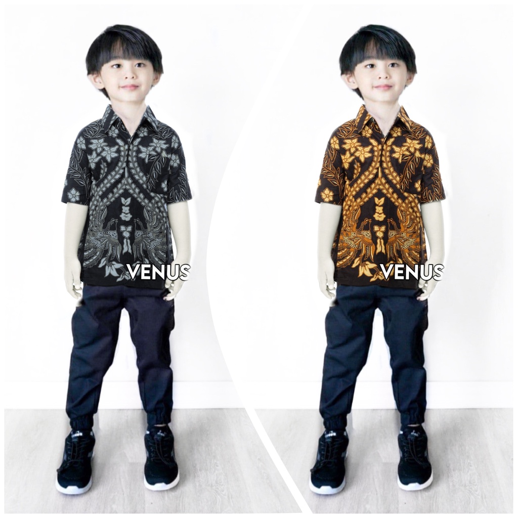 Kemeja Batik Anak - batik anak - baju batik anak laki laki umur 2-12 tahun hem batik anak pendek