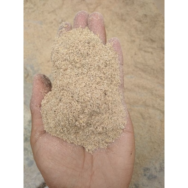 Dedek padi pakan ternak