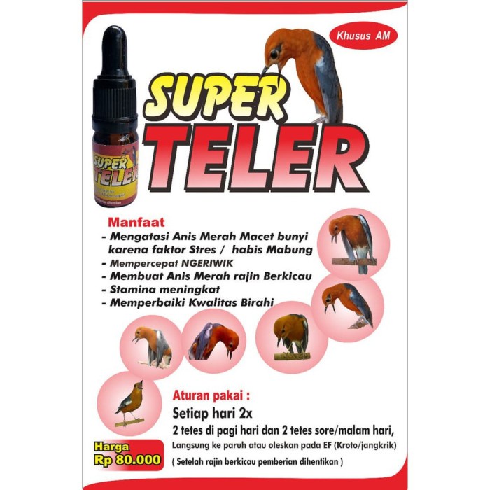 Super Teler Formula AM - Vitamin Dan Obat Anis Merah Macet Terlaris