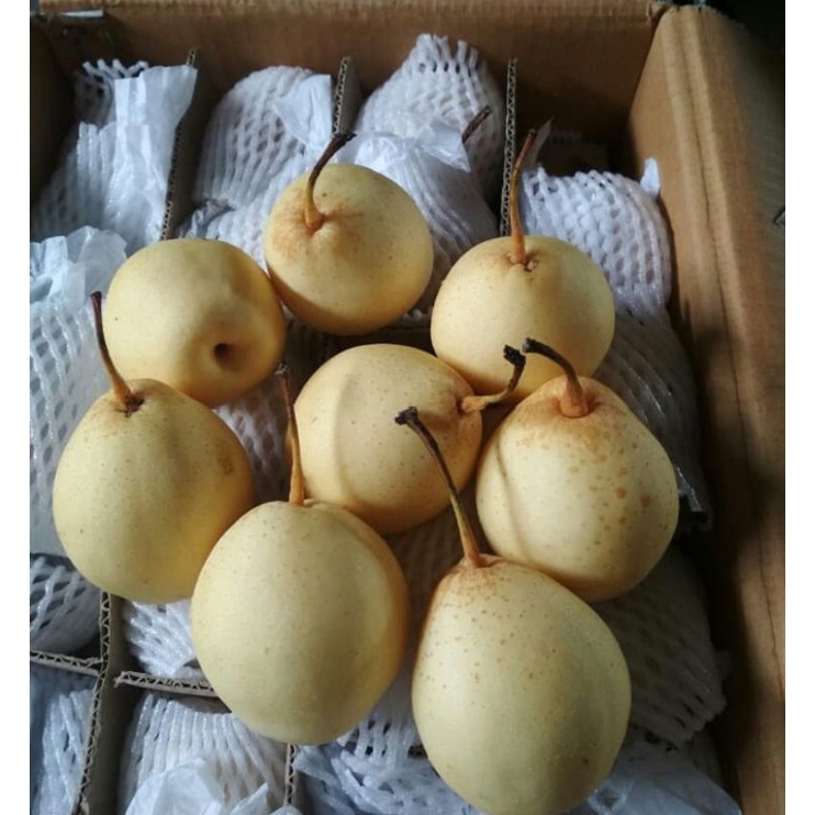 

BUAH PEAR YA LIE / PIR YALIE FRESH 1 KG