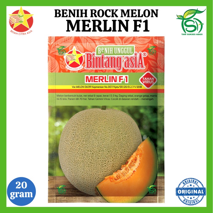Benih Melon Orange MERLIN F1 (20 Gram) - Bibit Unggul Bintang Asia