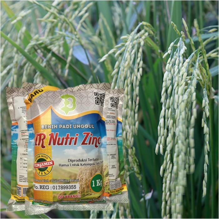 Benih Padi IR Nutri Zinc Unggulan Nasinya Cocok Untuk Pertumbuhan Anak Best Seller