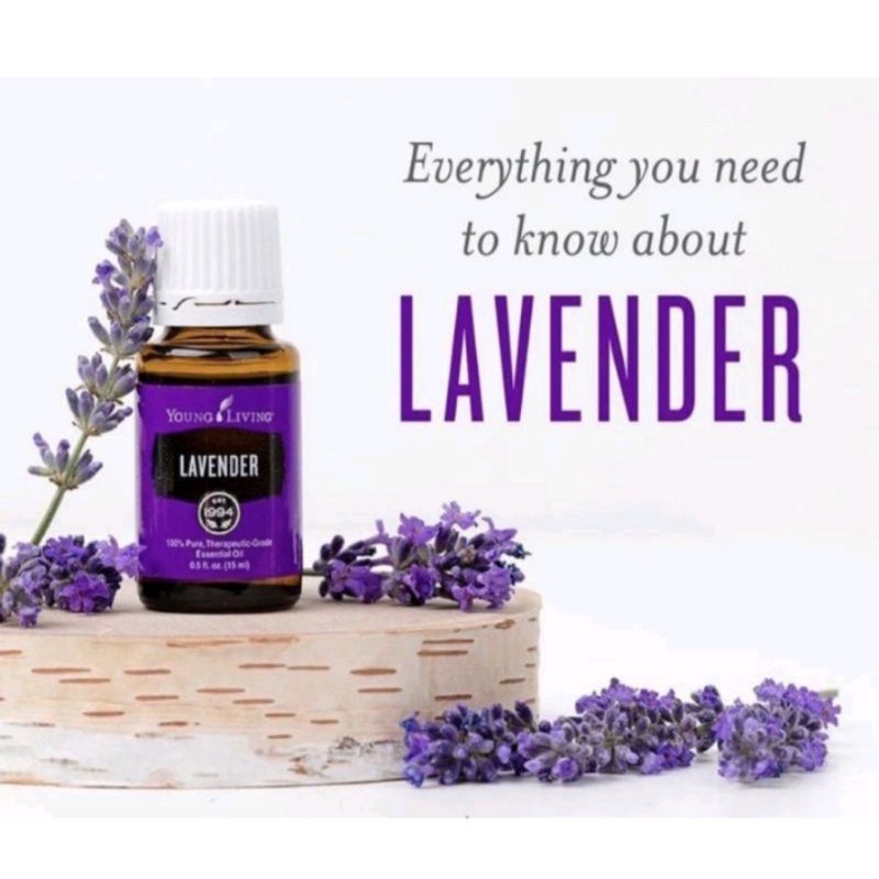 YOUNG LIVING- LAVENDER OIL 5ML / ORIGINAL / READY BISA GOSEND