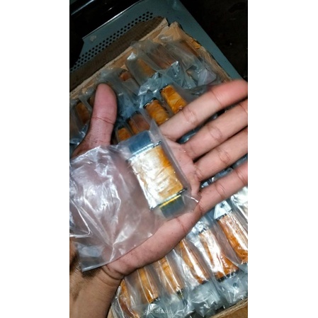 Spul lampu fullwave dc Rx king