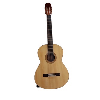 gitar akustik senar nilon ibanez c - 310